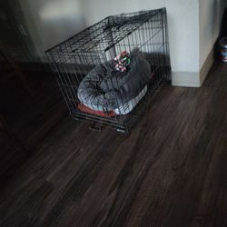 Dog Cage 