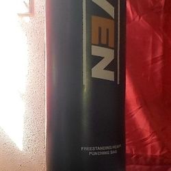 Fitven Punching Bag And Gloves 
