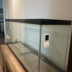 55 Gallon Fish Tank For Sale 