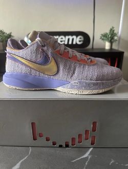 🔥 Nike LeBron XX “Violet Frost” Size 12 | Brand New DS | In Box 🔥