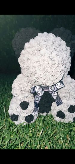 NFL Raiders Rose Bear