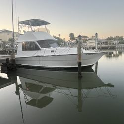 36’ Cat Limbo Sport Fish