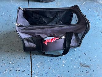 Pet carrier