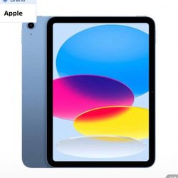 Apple iPad Blue  (10 Gen)