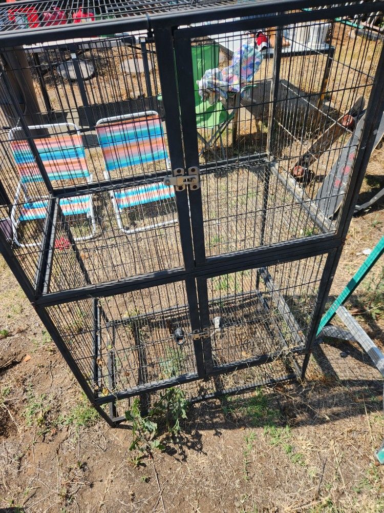 bird case