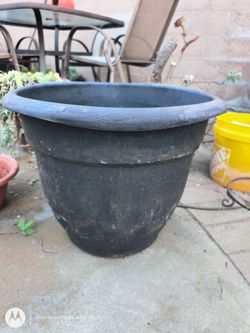 3 large pots