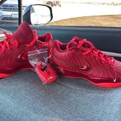 LeBron James XXI /james Gang