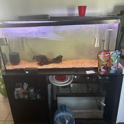 55gal Aquarium 