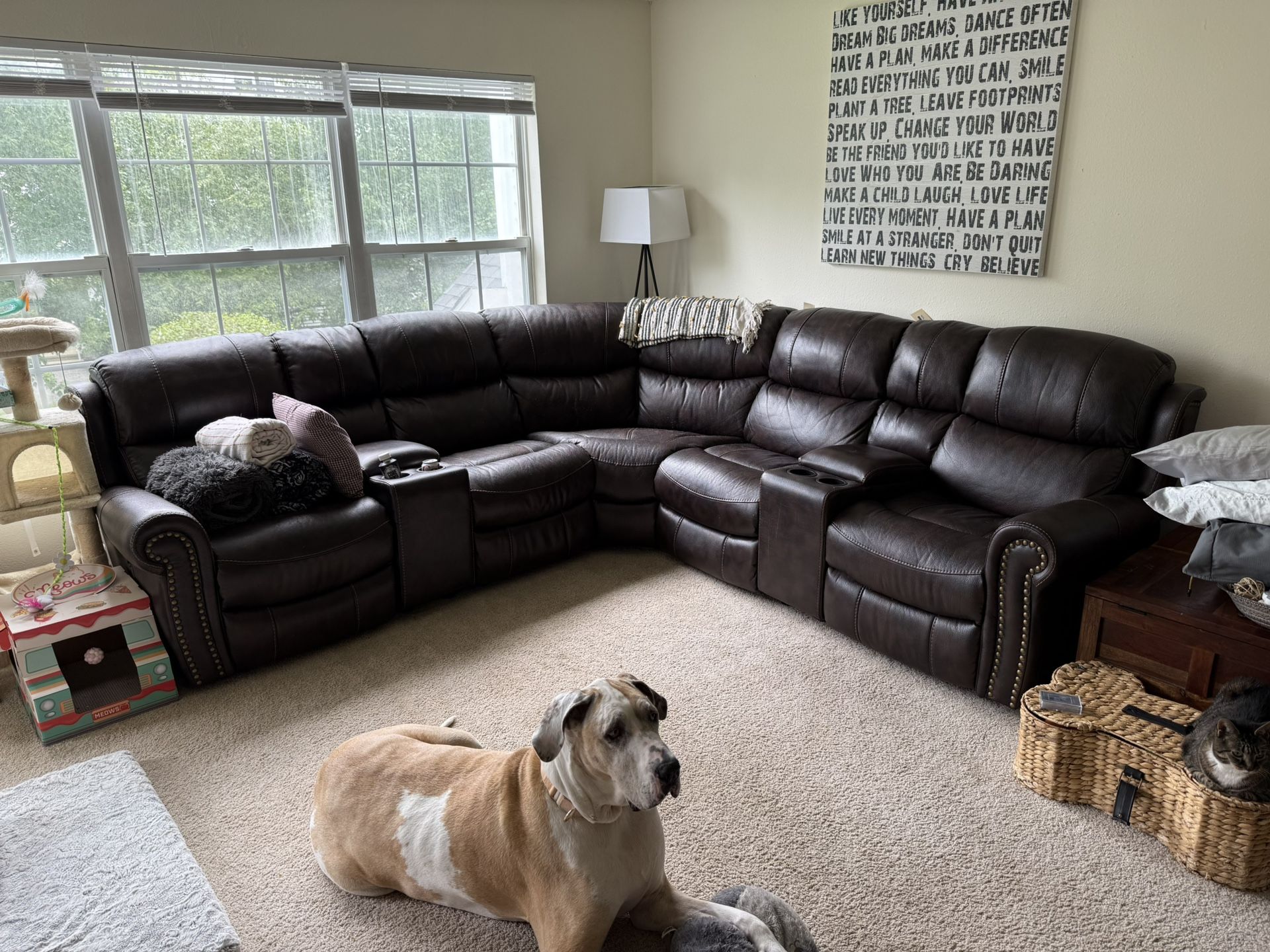 Leather Sectional