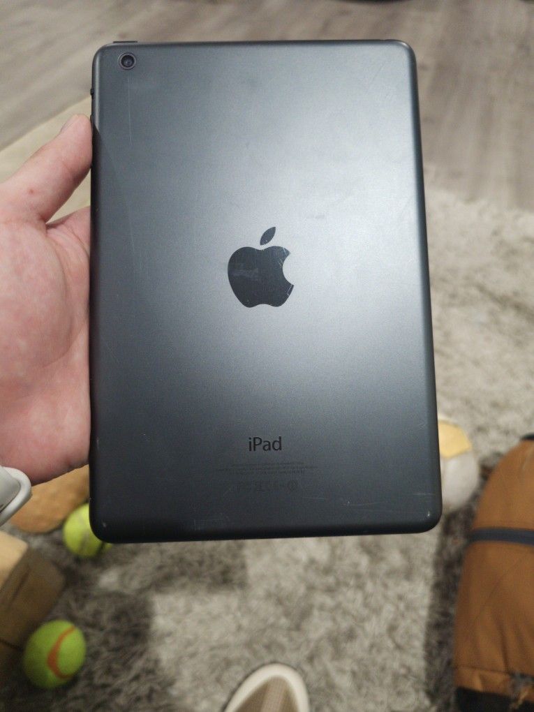 Ipad mini Icloud Locked