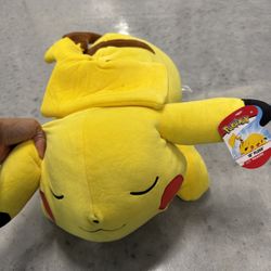 Sleeping Pikachu 