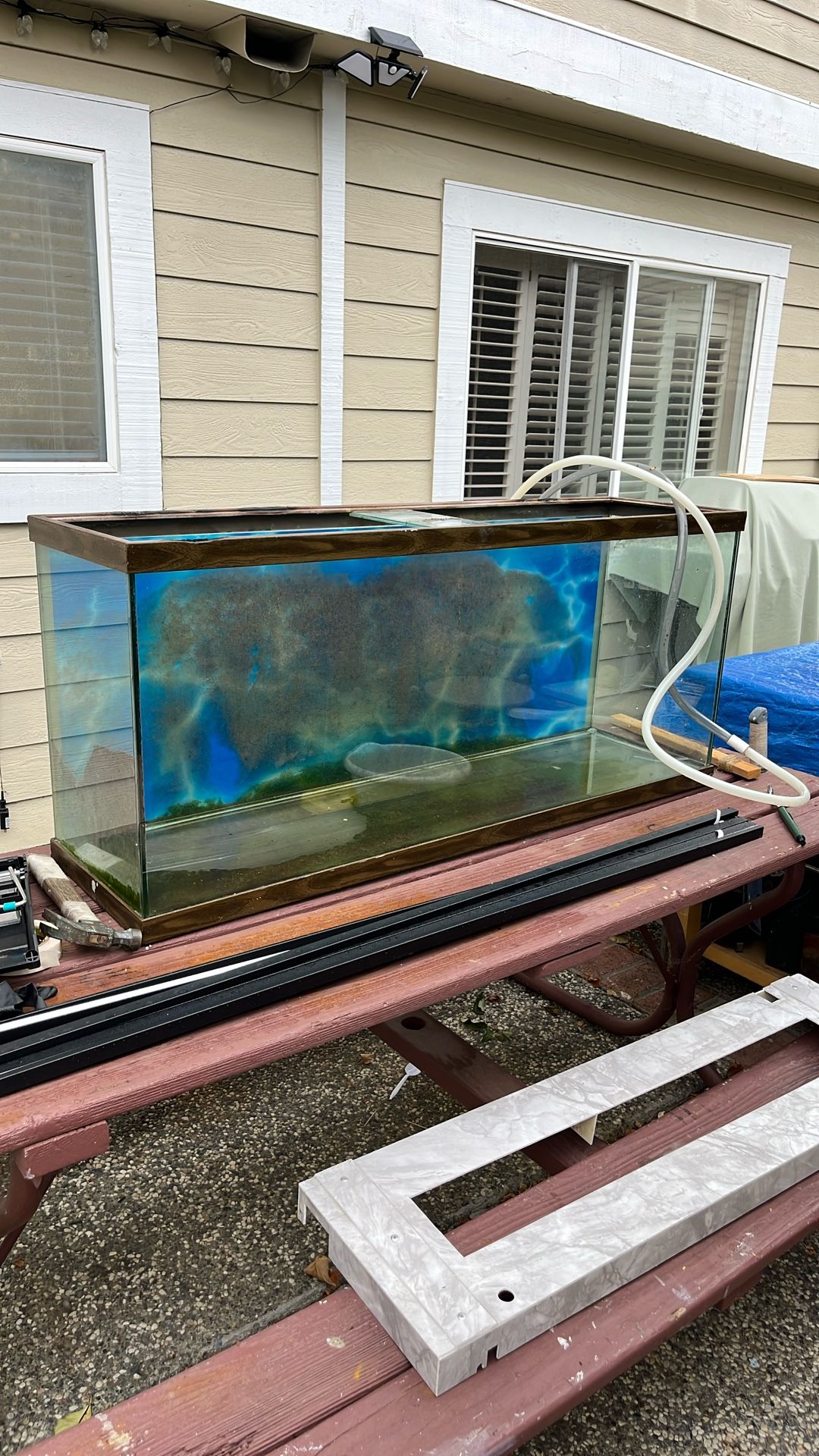 Fish Tank