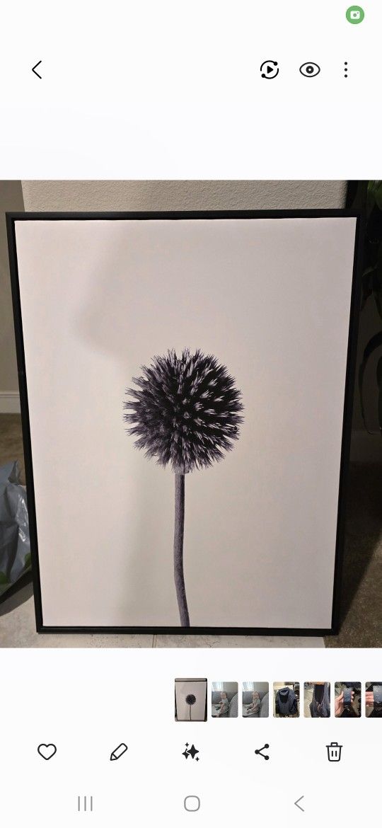 Globe Thistle (Echinops) Wall Art