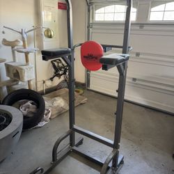 Pull up Dip Station