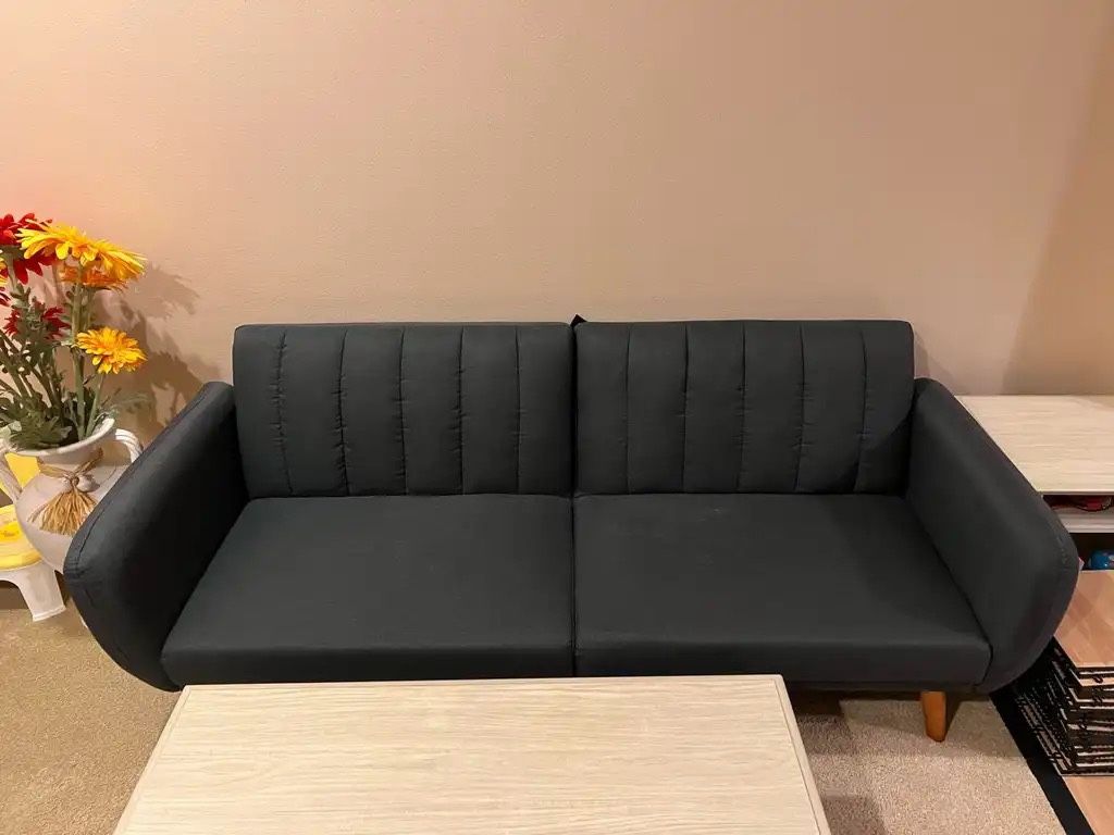 Dark Gray Sofa Bed