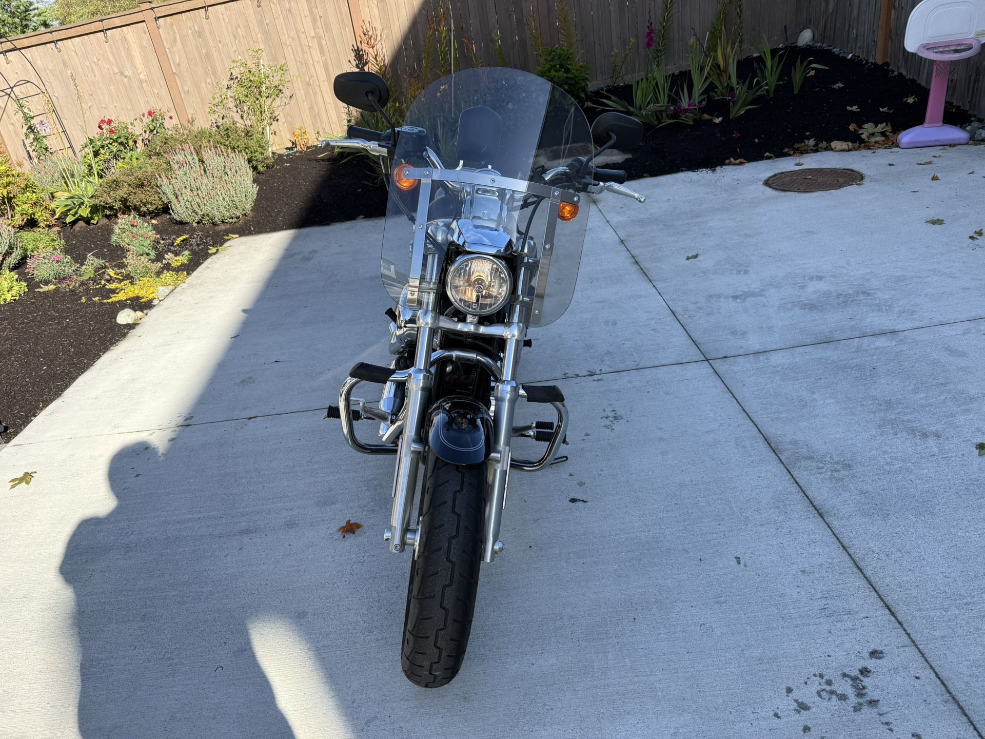 2017 Harley Davidson Sportster Custom 1200