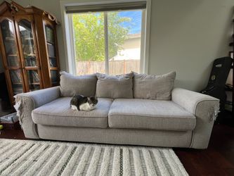 FREE Big Lots Gray Couch