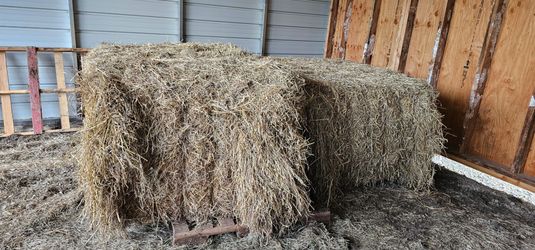 Large Bales of Hay