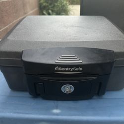 Sentry Personal Safe