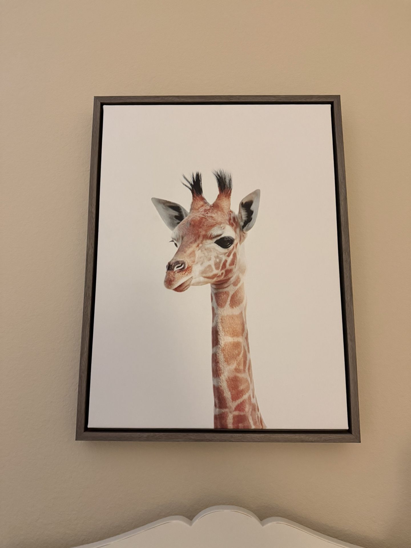 18x24 frames canvas giraffe