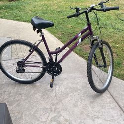 Roadmaster Girls Bike