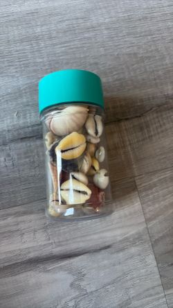 vintage shells
