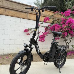 Electric bicycle