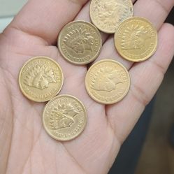 6 indian head penny 