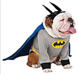 Halloween dog costumes