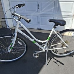 700C Raleigh Detour 1 Hybrid Bicycle - Like New! Ready to Ride!
