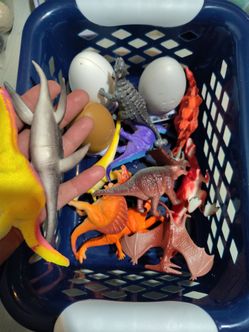 Boys dino egg +toys