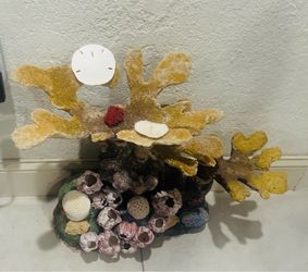 Salt water and Sweet water tank coral decorations