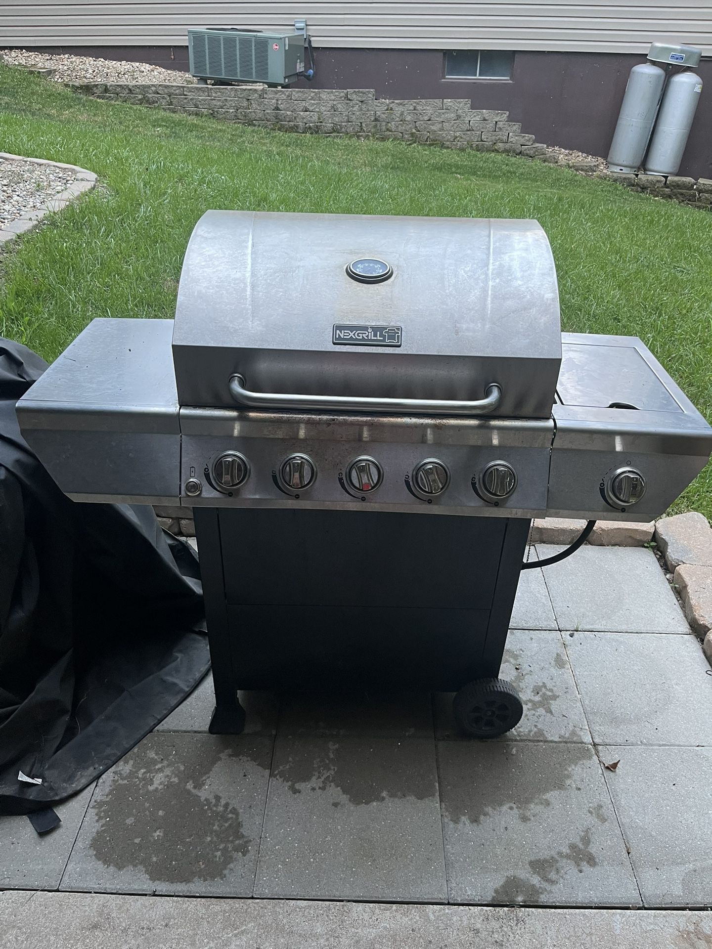 Propane Grill