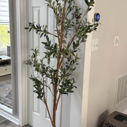 Fake Olive Tree 6 Ft 