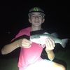 Landon