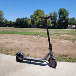 Cheap Electric Scooter