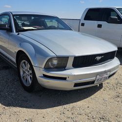 Mustang 