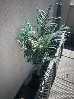 4 Foot Palm Tree
