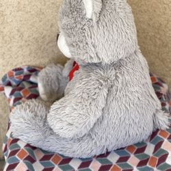 Valentines Bear