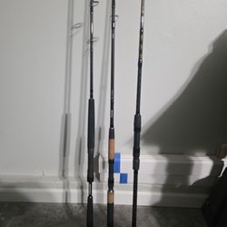 Multiple Spinning Rods DAIWA And PENN