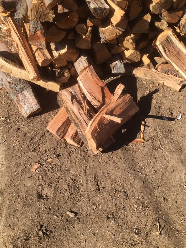 Fresh cut apple wood