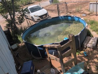12 X 33 Swimming Pool
