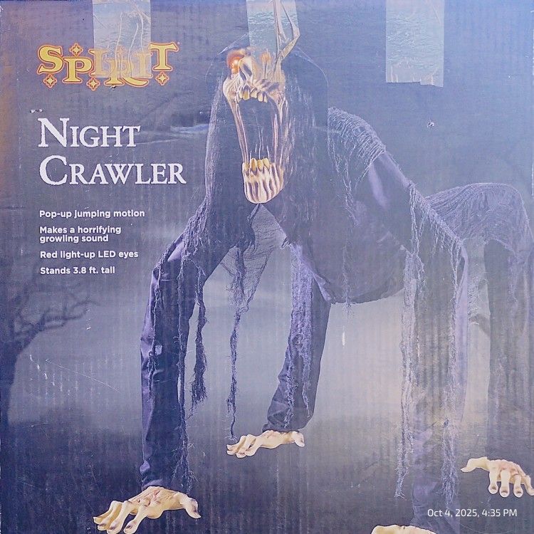 Halloween Decorations