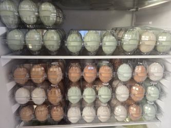 Free Range Chicken And Duck Eggs