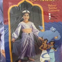 Vintage Princess Jasmine Aladdin