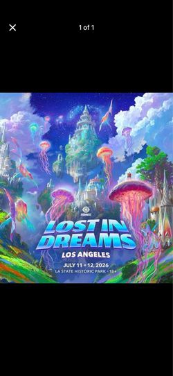 Lost in dream (LID) Sunday
