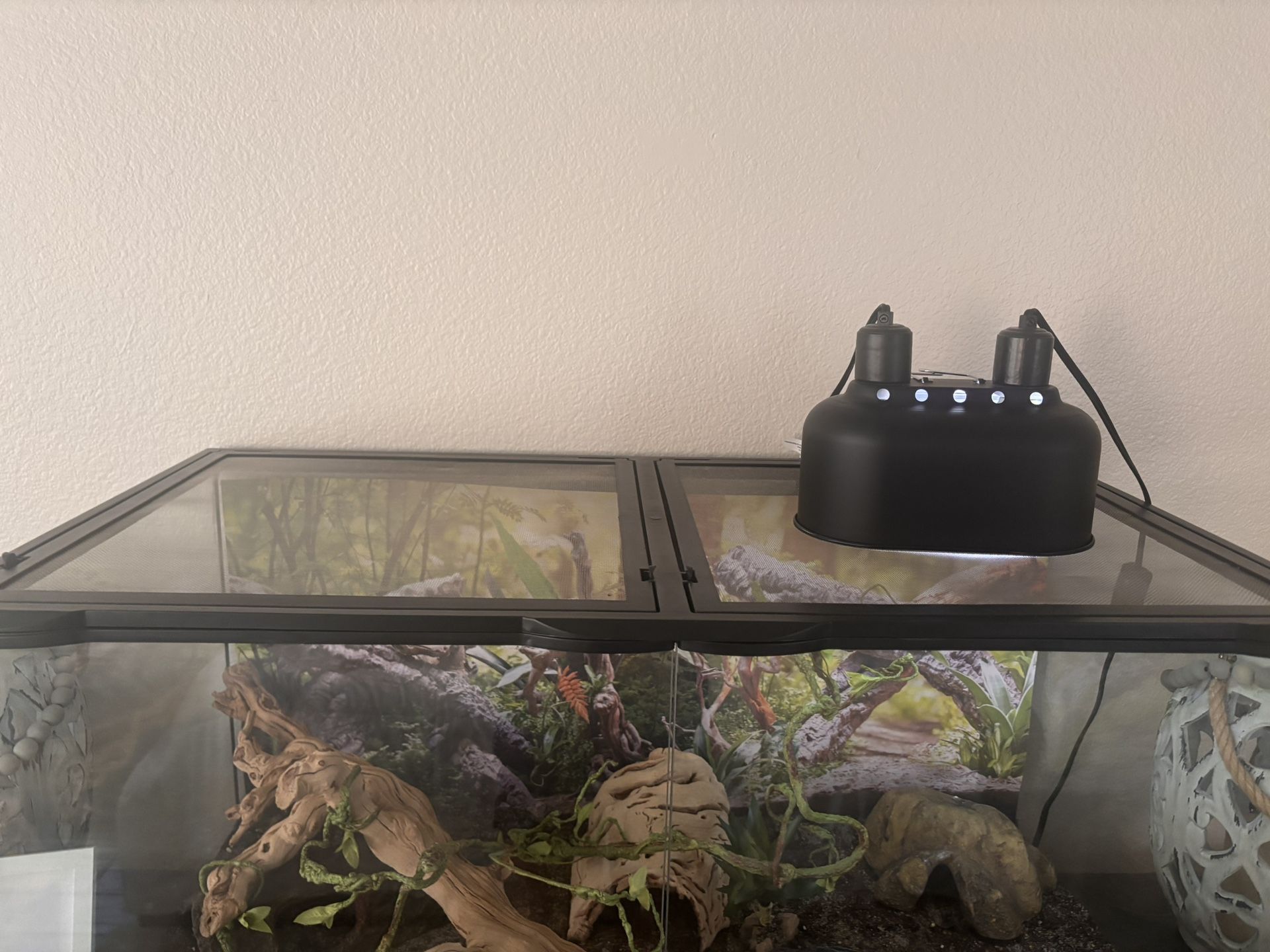 Zoo Med Double Door Naturalistic Terrarium, 36