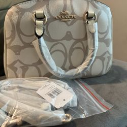 COACH HANDBAG/PURSE