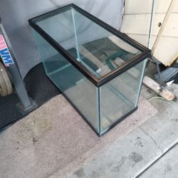 20 Gallon Aquarium