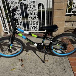 Guardian Bike 20 Inch for kids ages 6-9